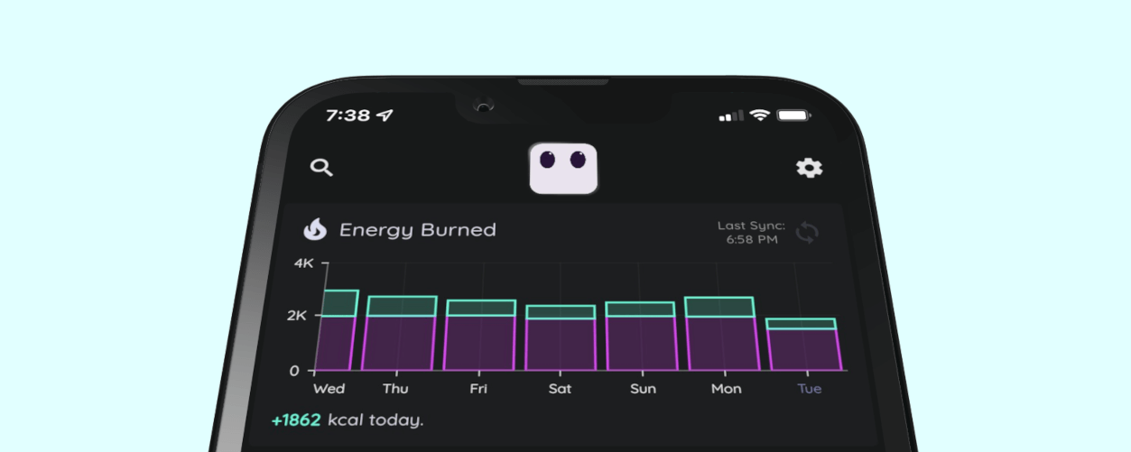 Best cross platform app development framework in 2022 - From nothing to MVP in 12 weeks using Flutter